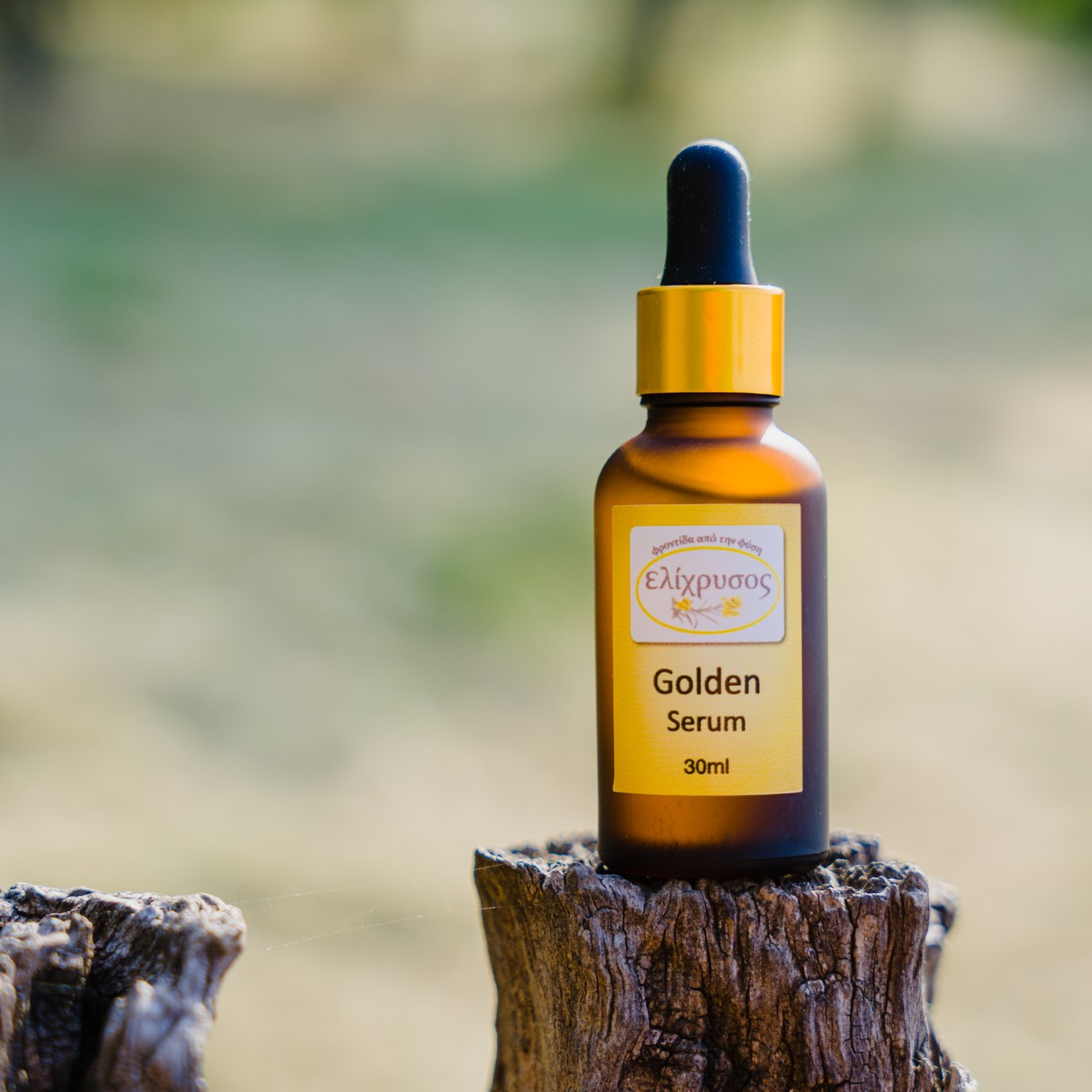 thumbnail_helichrysum-4