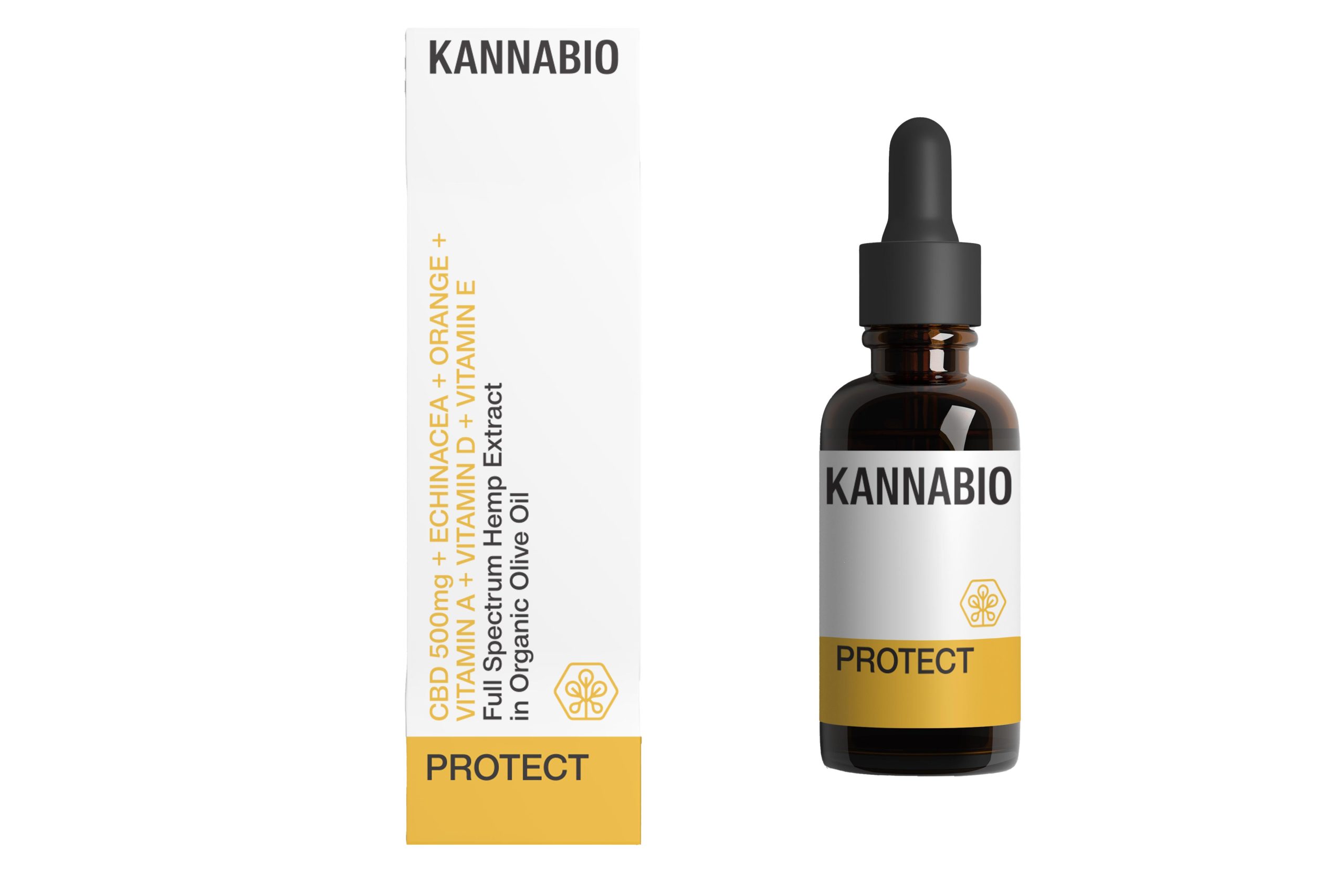 PROTECTWEB